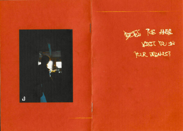 Angel Zine