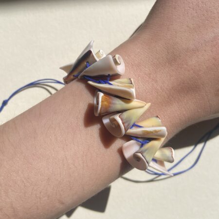SeaShell By The SeaShore - Shells Anklet / Bracelet